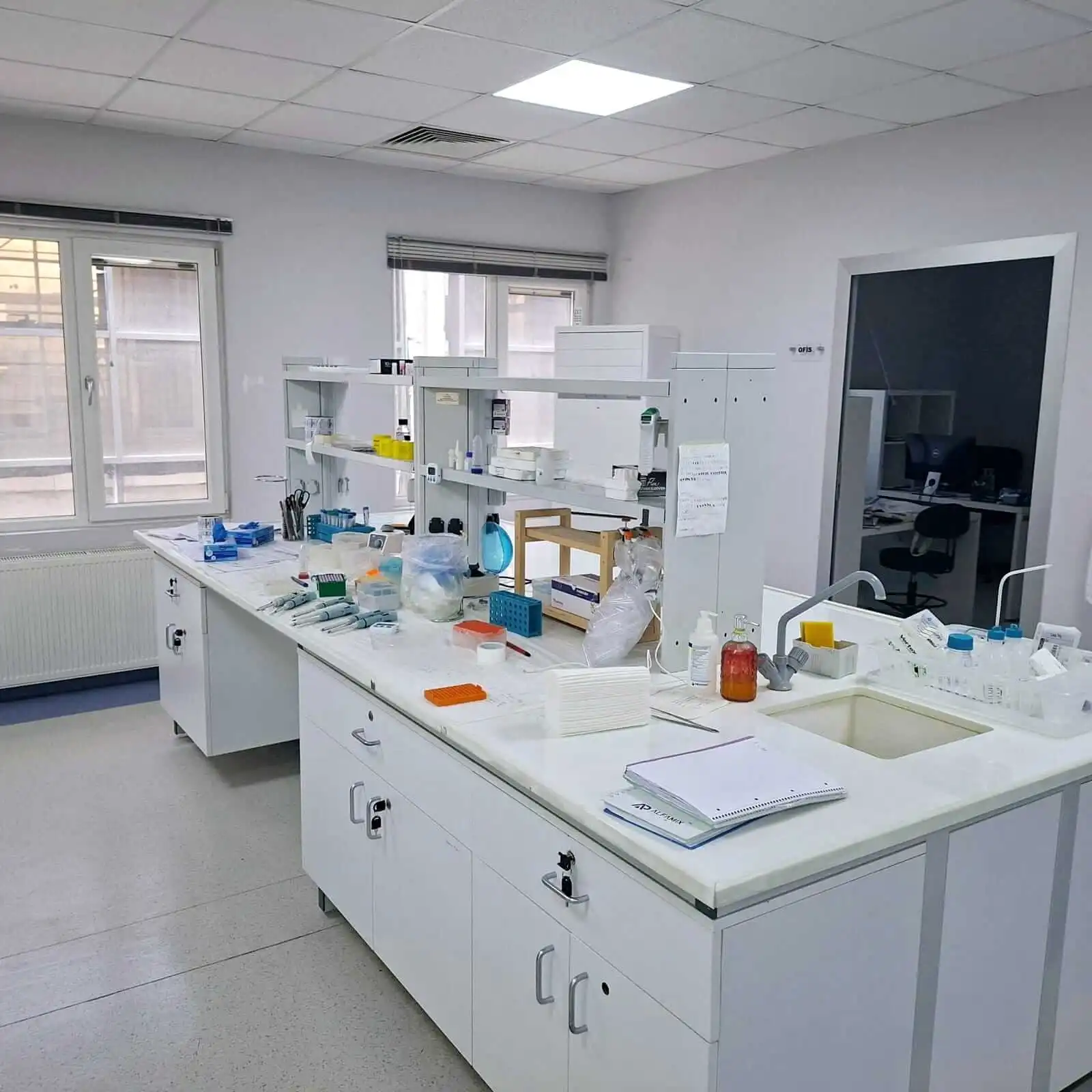 Lab scientists working